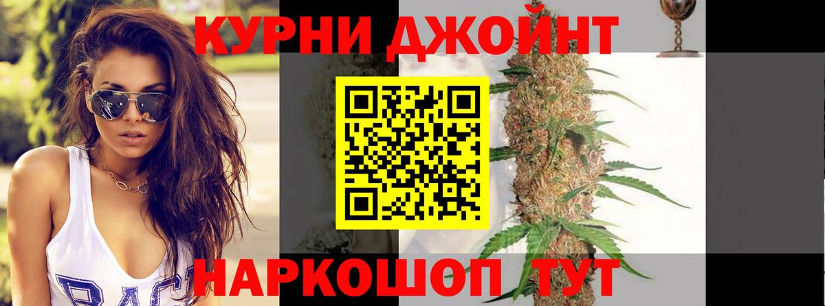 Конопля ГИДРОПОН Отрадный